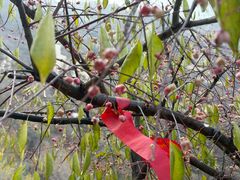 -鸡鸣山旅游景区