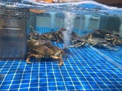 -七鲜超市(通州ONE店)