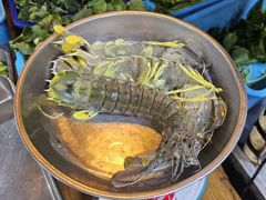 -大树下海鲜饭店