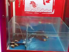 -食惠里小笼包面馆(越秀店)