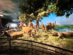 -国家自然博物馆