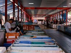 -南沙十九涌渔人码头-南门