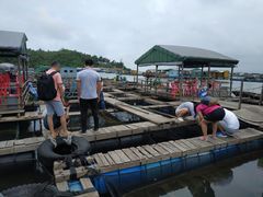 -海上驿站渔家菜馆