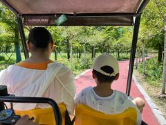 -黄海国家森林公园