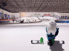 -绍兴启迪乔波冰雪世界