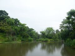 -张坝桂圆林公园