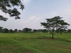 -盘龙城国家考古遗址公园