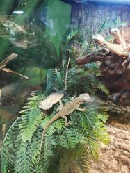 -酷嗒动物文化乐园(cutezoo西溪乐天城店)