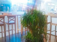 -八十八粉儿(尚都店)