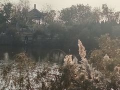 -大港湿地公园