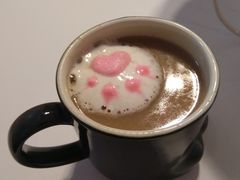-三花喵·撸猫购宠·宠物生活馆(虹桥南丰城店)