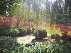 -鹦鹉寺公园