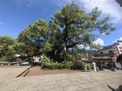 -新安江山水画廊风景区