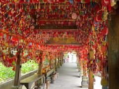 -西双版纳总佛寺