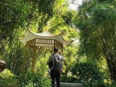 -晓港公园