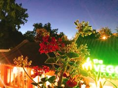 -Sirena海妖日咖夜酒