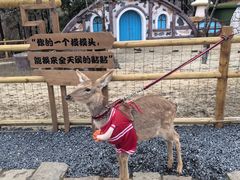 -茅山东方盐湖城景区