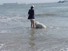 DSC03435-白城沙滩