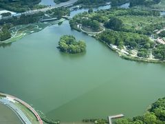 -嘉定凯悦·咖啡厅