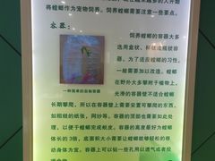 -上海昆虫博物馆