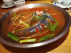 -新凯里酸汤鱼(飞山街店)