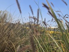 -汉长安城未央宫国家考古遗址公园