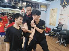 -温鉴良实用咏春拳