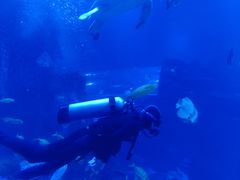 -太平洋海底世界