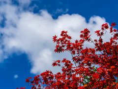 -成都濑川外国语学校