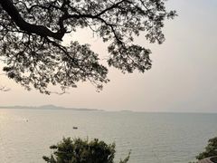 -网红落日悬崖餐厅 The Sky Gallery