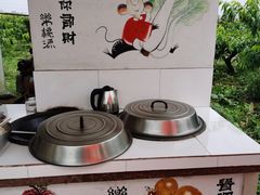 -樂桃源奉贤黄桃种植采摘基地