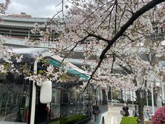 -南浦大桥长途旅游客运站