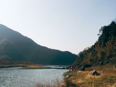 -小芝红树林