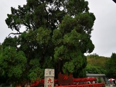 -四门塔风景区