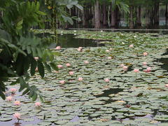 -白鹭湾湿地公园