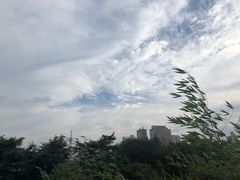 -水绘园