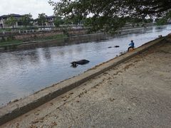 -杭州双溪漂流景区