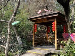 -天目湖山水园
