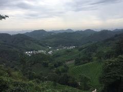 -西湖风景区十里琅珰-五云山