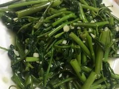 -煲来饱去冷水鱼