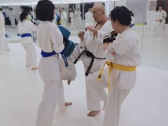 -极真空手道修远道场