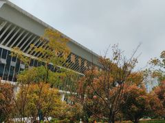 -金银湖市民文体活动中心恒温游泳馆