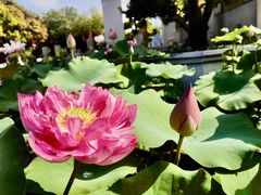 -广州莲花山旅游区