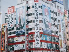 -秋叶原电器街