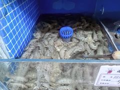 -宾朋海鲜美食餐厅·特色美食(兴海路店)