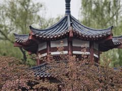 -洛阳市隋唐城遗址植物园