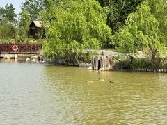 -盐城丹顶鹤湿地生态旅游区