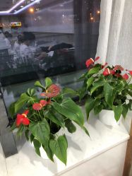 -悟空祛痘·诺奖技术专业店