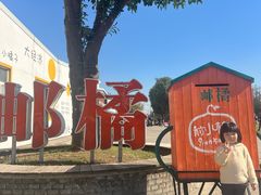 -前小桔亲子创意农场·草莓采摘·露营烧烤
