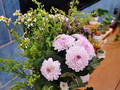-大自然花鸟鱼虫市场